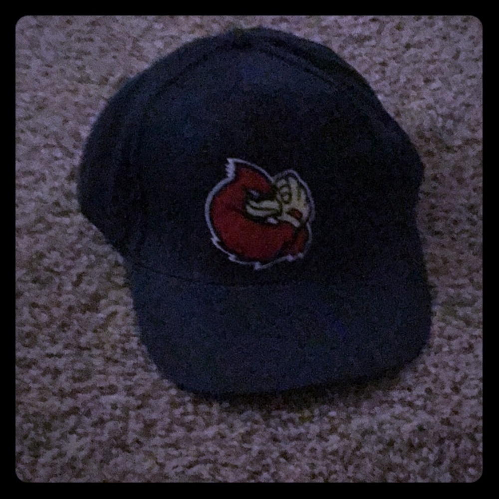 A baseball red bird hat
